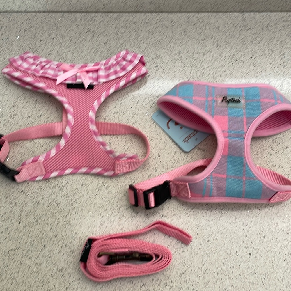 Pupteck 2 harnesses and leash set